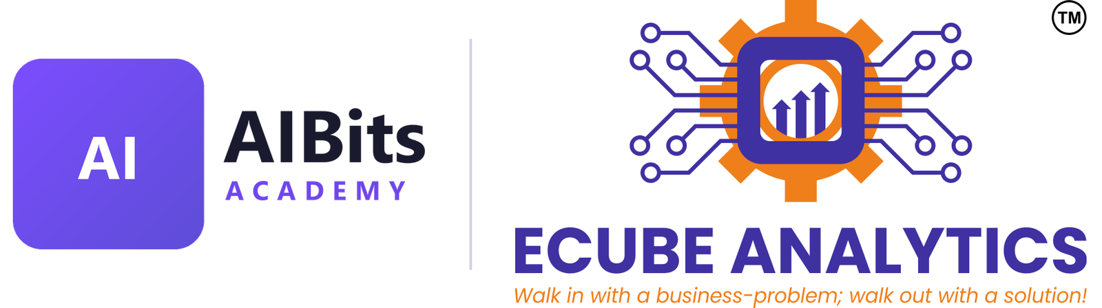 AIBits Academy and Ecube Analytics